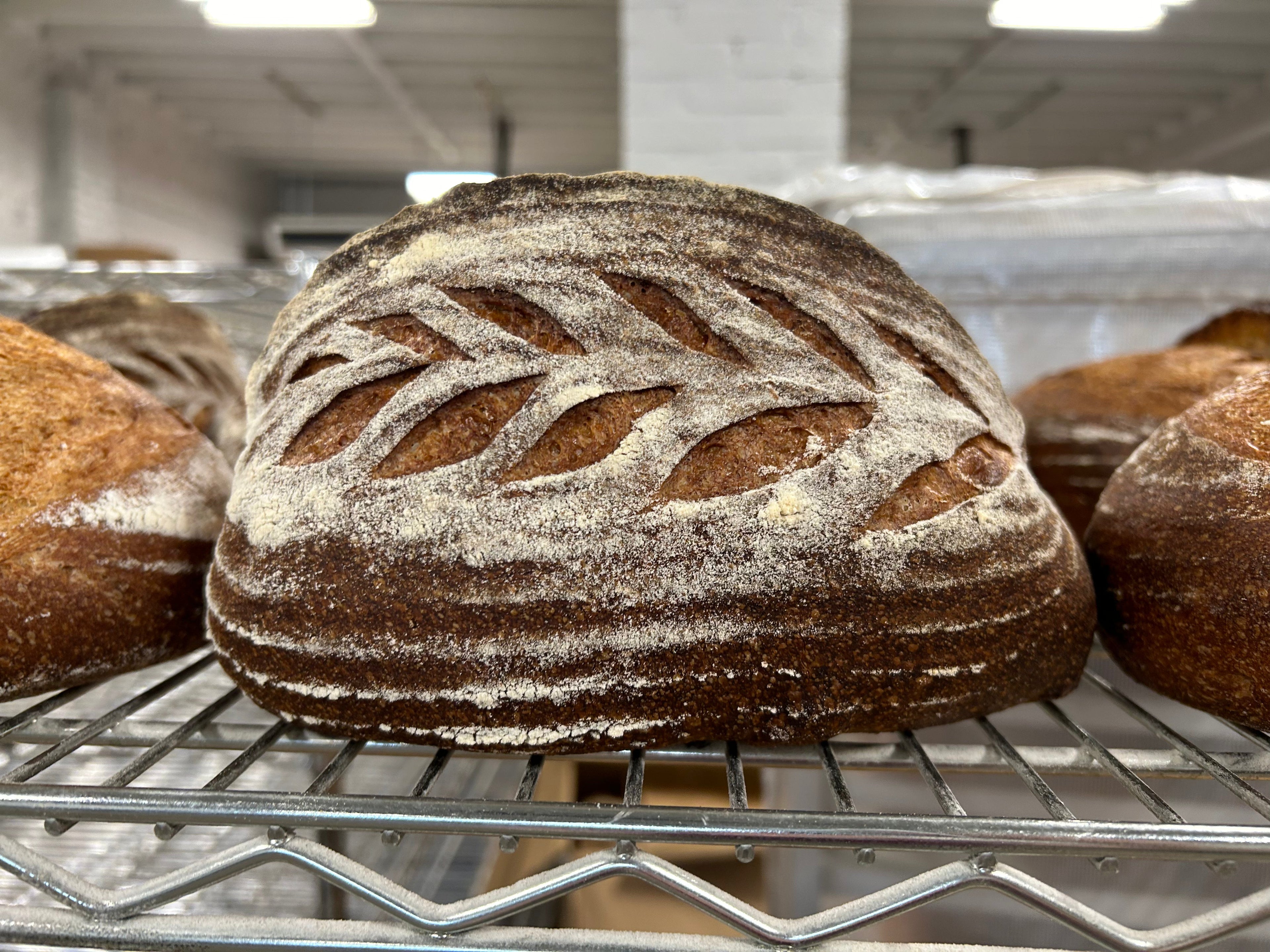 WEDNESDAY & FRIDAY OVAL Whole Wheat