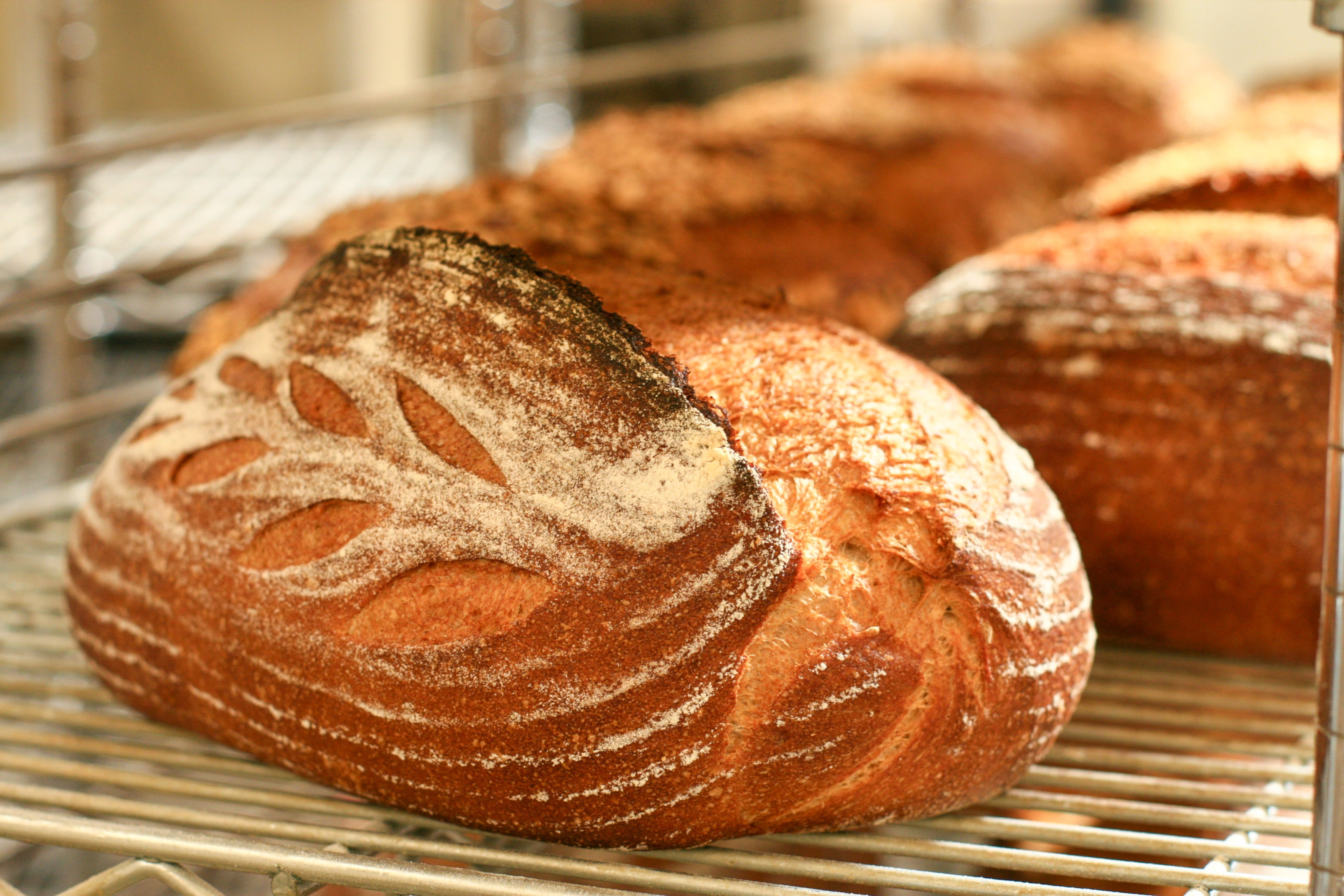 WEDNESDAY & FRIDAY OVAL Whole Wheat
